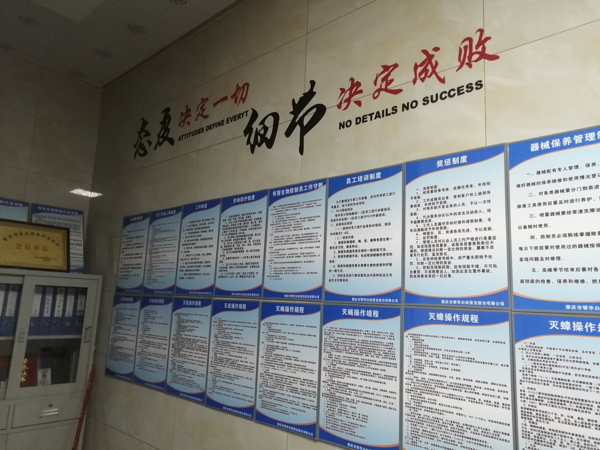 常见的白蚁种类