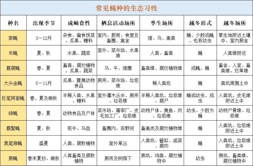 冬天苍蝇都到哪里去了？会被冻死吗？