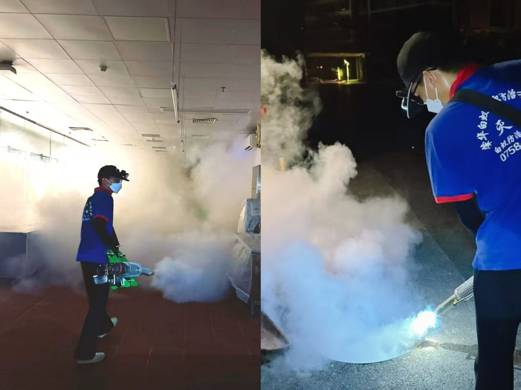 家里发现蟑螂自己搞不定怎么办？